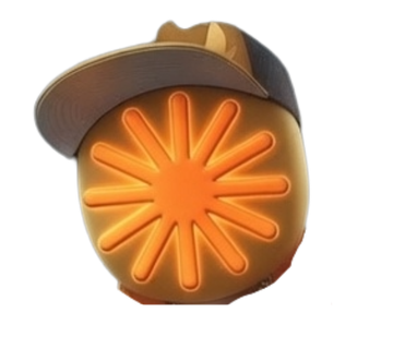 ✺